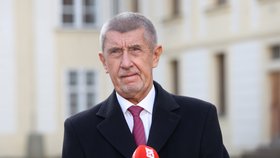 Andrej Babiš (ANO) na Hradě po jmenování premiérem (9.12.2025)