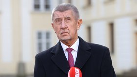 Andrej Babiš (ANO) na Hradě po jmenování premiérem (9.12.2025)