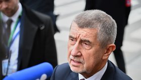 Premiér Andrej Babiš (ANO) (prosinec 2025)