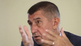 Premiér Andrej Babiš (ANO) má zájem na ekonomickém úspěchu Agrofertu a firem z této skupiny, napsala právní služba Evropské komise v interním materiálu posuzujícím Babišův možný střet zájmů v souvislosti s platbami z evropských fondů. (ilustrační foto)