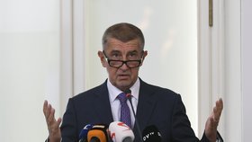 Premiér Andrej Babiš to řekl v neděli.