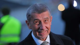 Premiér Andrej Babiš