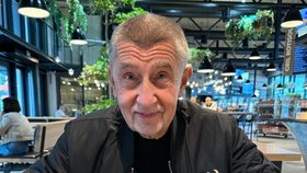 Andrej Babiš (ANO) s hotdogem z Průhonic