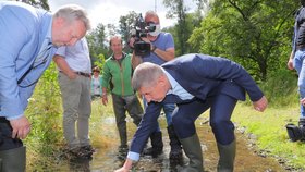 Premiér Andrej Babiš (ANO) šel s ministrem životního prostředí Richardem Brabcem (ANO) vypouštět raky kamenáče (2.7.2020)