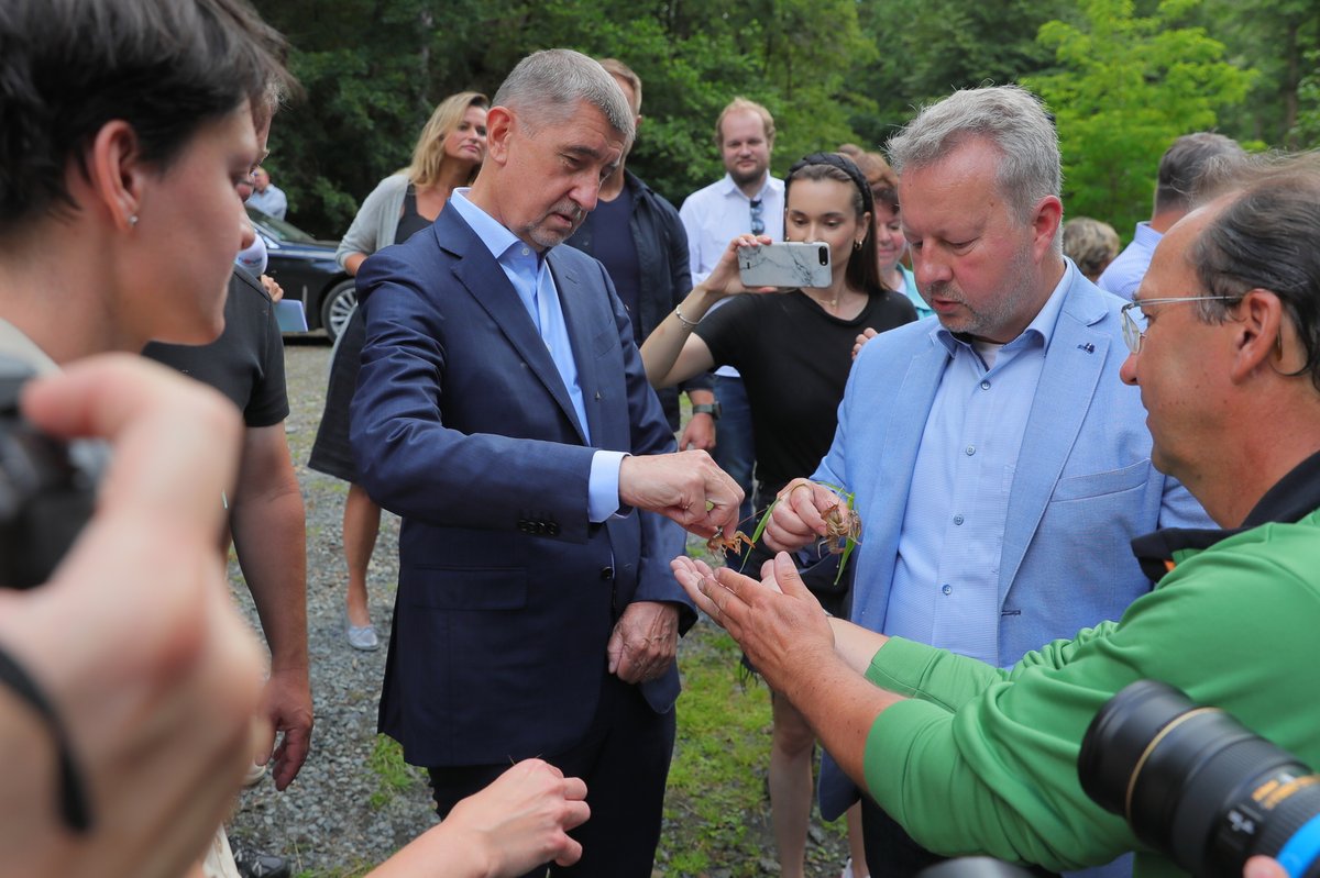 Premiér Andrej Babiš (ANO) šel s ministrem životního prostředí Richardem Brabcem (ANO) vypouštět raky kamenáče (2.7.2020)