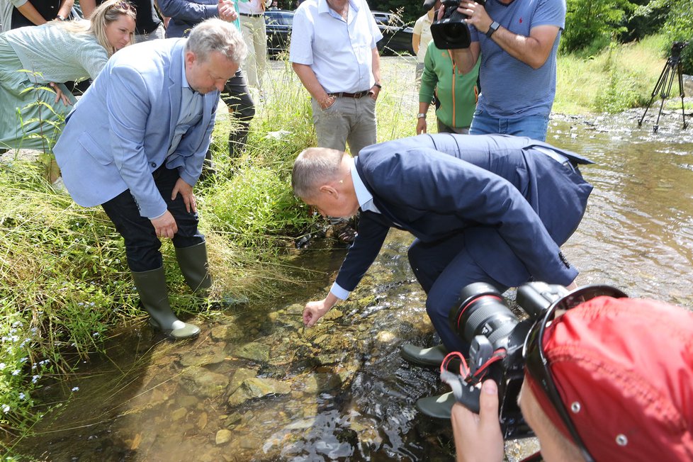 Premiér Andrej Babiš (ANO) s ministrem životního prostředí Richardem Brabcem (ANO) vypouštěl raky kamenáče (2. 7. 2020)