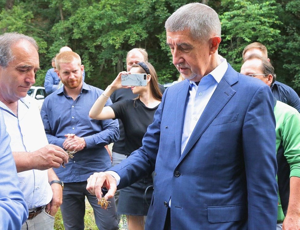Premiér Andrej Babiš (ANO) šel s ministrem životního prostředí Richardem Brabcem (ANO) vypouštět raky kamenáče (2. 7. 2020).