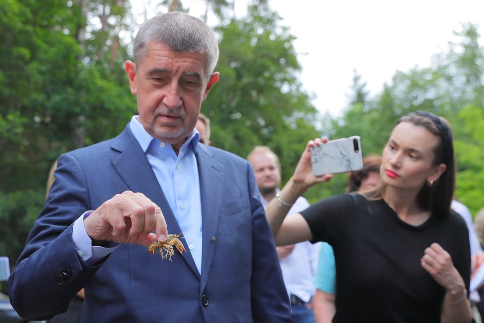 Premiér Andrej Babiš (ANO) šel s ministrem životního prostředí Richardem Brabcem (ANO) vypouštět raky kamenáče. (2.7.2020)