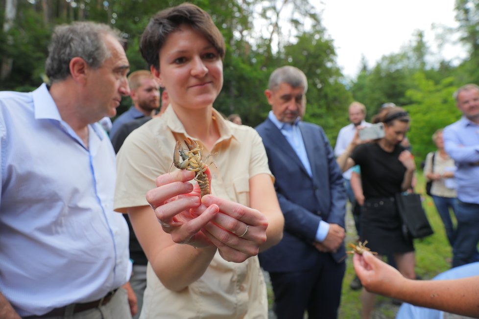 Premiér Andrej Babiš (ANO) šel s ministrem životního prostředí Richardem Brabcem (ANO) vypouštět raky kamenáče (2. 7. 2020)