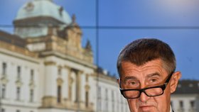 Premiér Andrej Babiš komentoval 14. listopadu 2018 v Praze na tiskové konferenci po setkání s americkým ministrem energetiky Rickem Perrym také případ údajného nedobrovolného držení jeho syna Andreje Babiše mladšího na Krymu kvůli kauze Čapí hnízdo.