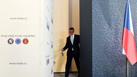 Premiér Andrej Babiš komentoval 14. listopadu 2018 v Praze na tiskové konferenci po setkání s americkým ministrem energetiky Rickem Perrym také případ údajného nedobrovolného držení jeho syna Andreje Babiše mladšího na Krymu kvůli kauze Čapí hnízdo.