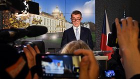 Premiér Andrej Babiš komentoval 14. listopadu 2018 v Praze na tiskové konferenci po setkání s americkým ministrem energetiky Rickem Perrym také případ údajného nedobrovolného držení jeho syna Andreje Babiše mladšího na Krymu kvůli kauze Čapí hnízdo