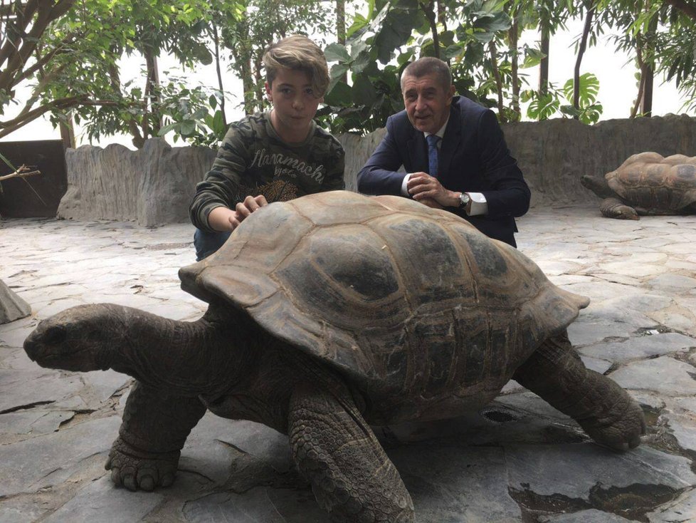 Andrej Babiš se synem v Zoo Praha