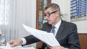 Vicepremiér Andrej Babiš má podle sněmovního a mandátového výboru nejasnosti v majetkovém přiznání.
