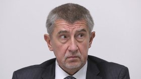 Andrej Babiš (ANO) navštíví se svojí vládou ještě před jejím jmenováním hrob Tomáše Garrique Masaryka.