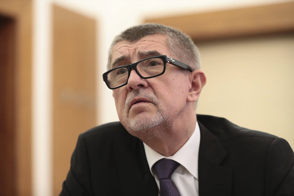 Andrej Babiš (ANO) se vrhá do nového podnikatelského segmentu