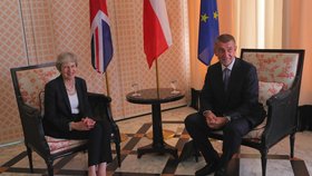 Andrej Babiš s britskou premiérkou Theresou Mayovou