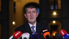 Andrej Babiš po schůzce s Milošem Zemanem na Hradě