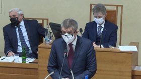 Premiér Andrej Babiš (ANO) v Senátu během jednání o daňovém balíčku (10. 12. 2020)
