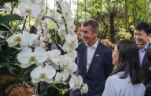 Babiš na cestě po Asii: Obdivoval svou orchidej, Monice ale nosí bílé růže