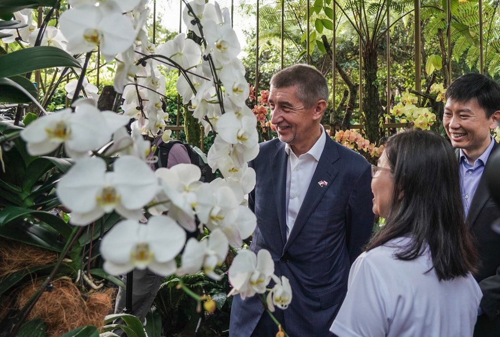 Premiér Babiš v Singapuru: V botanické zahradě po něm pojmenovali orchidej.