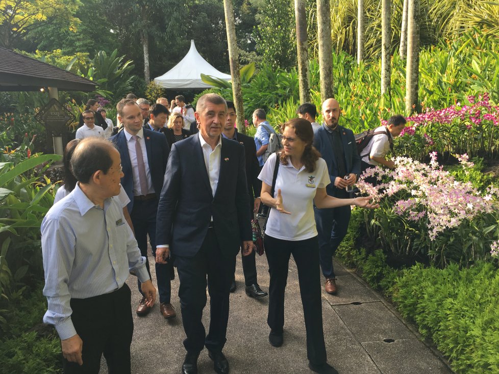 Po Andreji Babišovi pojmenovali v botanické zahradě v Singapuru orchidej (15. 1. 2019).