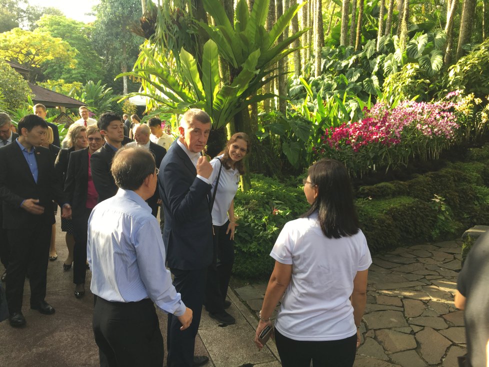 Po Andreji Babišovi pojmenovali v botanické zahradě v Singapuru orchidej (15. 1. 2019)
