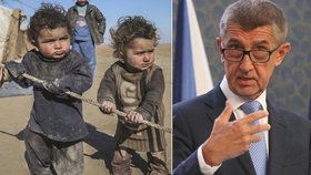 Premiér Andrej Babiš (ANO) popsal detaily jeho plánu pro výstavbu dětského centra pro sirotky v Sýrii (foto dětí je ilustrační)