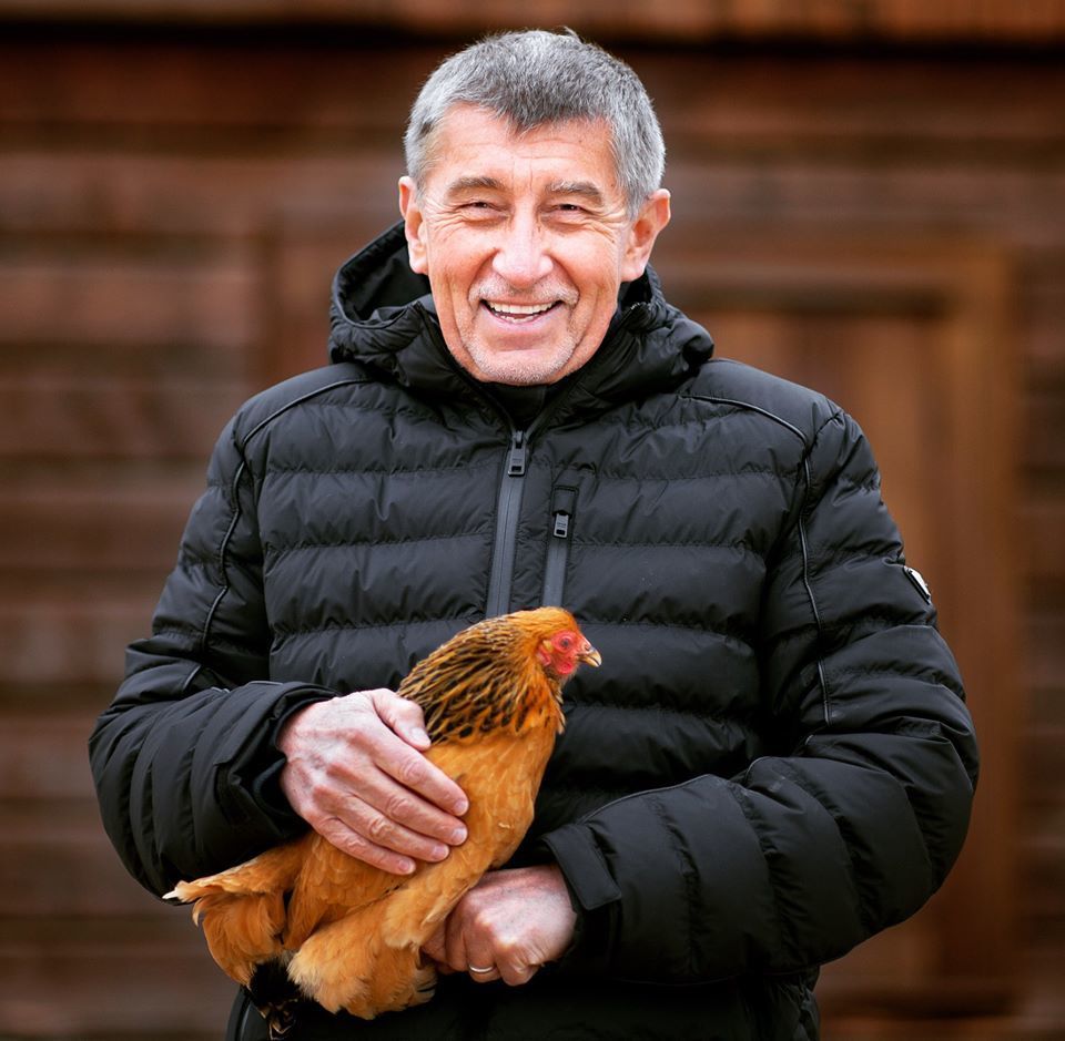 Andrej Babiš ujišťuje, že má zvířata rád. Postavil se proti klecovému chovu slepic.