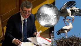 Čapí disco a Babiš terčem vtipálků: „Nelžu, nekradu, mám střet zájmů“