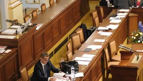 Andrej Babiš ve sněmovně před začátkem mimořádného jednání o Čapím hnízdě