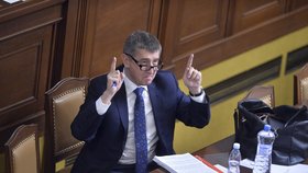 Andrej Babiš ve Sněmovně před "grilováním" kvůli Čapímu hnízdu úsměvy nešetřil.