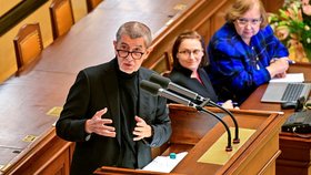 Andrej Babiš (ANO) ve Sněmovně (5.12.2024)
