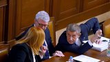 Poslanci schválili regulaci cen nafty a benzinu. Opozice bouřila: Socialistický experiment