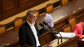Hádky o balíček: Andrej Babiš (ANO) vytáhl ve Sněmovně fialového mimoně (22.9.2023).