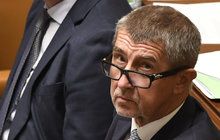 Andrej Babiš: Na Hrad kvůli »Čapáku«?