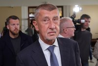 Úleva pro Babiše? Soud do voleb nestihne projednat Čapí hnízdo. O jeho vydání rozhodne nová Sněmovna