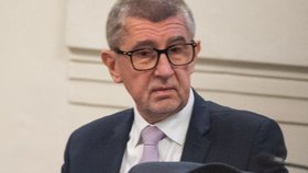 Andrej Babiš u soudu v kauze Čapí hnízdo (4.1.2023)