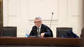 Andrej Babiš (ANO) u soudu kvůli kauze Čapí hnízdo (14.2.2024)