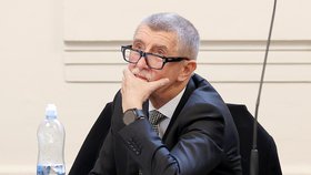 Andrej Babiš (ANO) u soudu kvůli kauze Čapí hnízdo (14.2.2024)