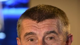 Andrej Babiš si připil ve štábu ANO s Petrem Stuchlíkem (6.10.2018)