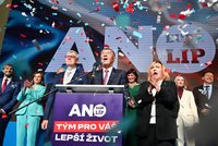 Scénáře dalšího vývoje: Babiš zamíří za Pavlem. Podaří se mu dojednat jednobarevná vláda?