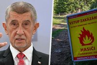 Babiš odmítl, aby jedy na Šumavě řešila firma s ženou od Motoristů. Zmínil monopol