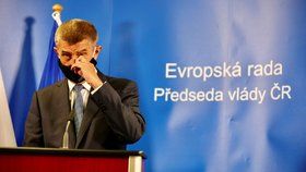 Babiš řekl, na co mají jít peníze z EU. Vondra si rýpl: „Selhal a nevyjednal, co měl“