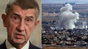 Premiér Andrej Babiš (ANO) slíbil, že na summitu EU bude řešit společnou pozici Unie k turecké invazi v Sýrii.