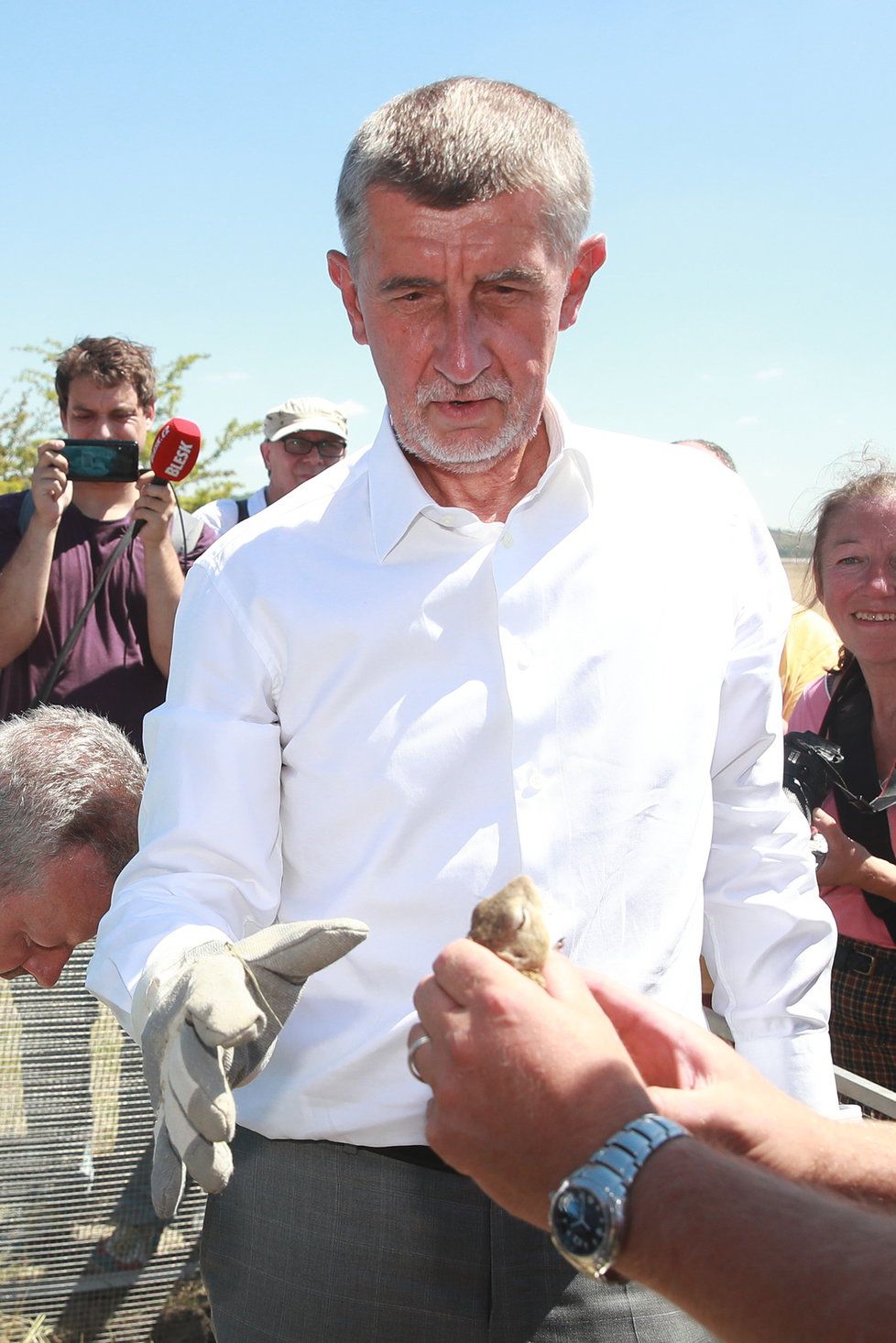 Andrej Babiš vypouštěl na Lounsku ohrožený druh syslů.