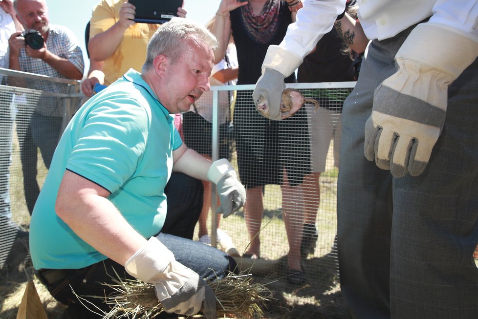 Ministr životního prostředí Richard Brabec asistoval premiérovi Babišovi ve vypouštění syslů