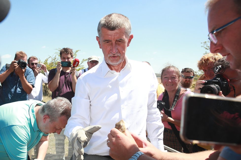 Andrej Babiš vypouštěl na Lounsku ohrožený druh syslů.