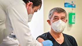 Premiér Andrej Babiš (ANO) během očkování druhou dávkou. za sebou má už i třetí