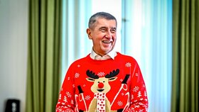 Vánoční atmosféra ve vládě: Premiér Andrej Babiš (ANO)